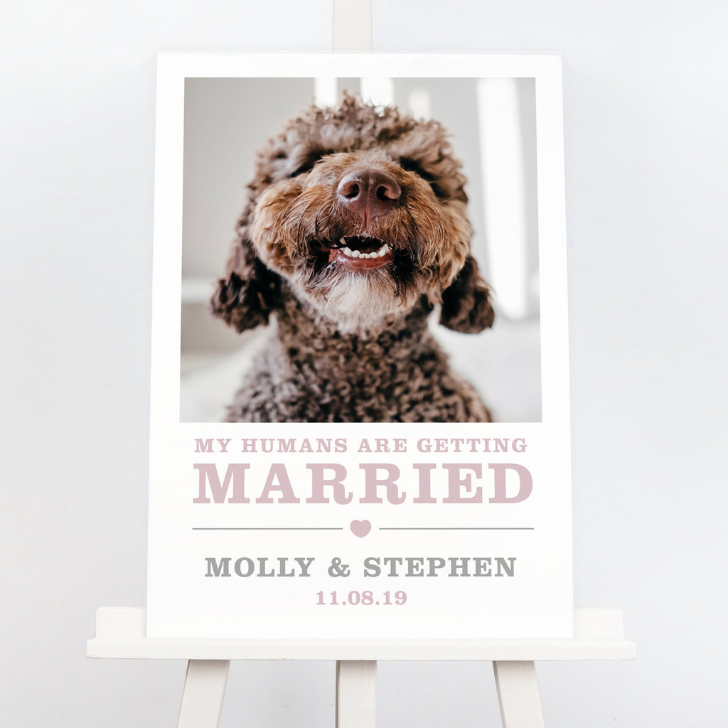 Amelia Dog Welcome Wedding Sign