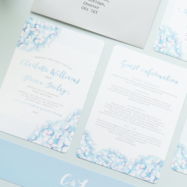 Hydrangea Blue information card - Project Pretty